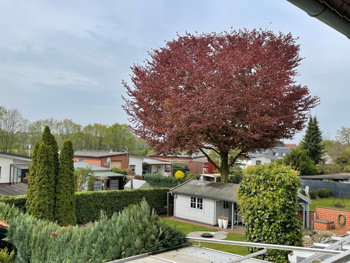 Ferienwohnung Eschendorf رين المظهر الخارجي الصورة